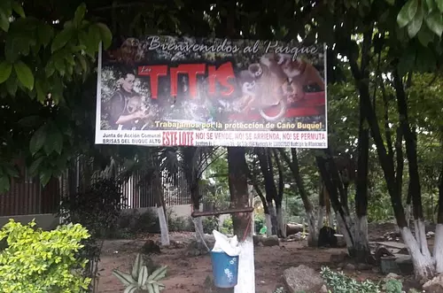 Se concerta suspender poda de árboles realizada en parque Los Titis