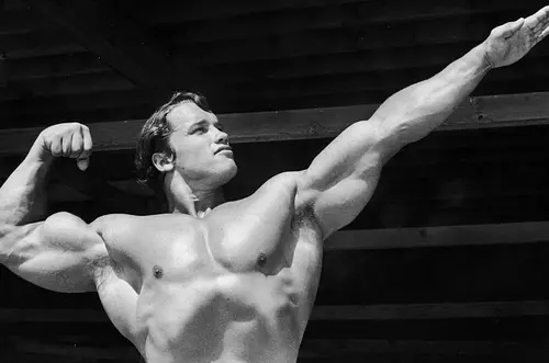 ¿Una mosca es nombrada en honor a Arnold Schwarzenegger?