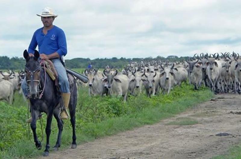 Los cantos de vaquería serán patrimonio cultural inmaterial de la humanidad