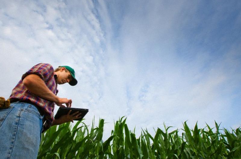 ¡Investigación para mitigar el cambio climático es ganada por colombianos!