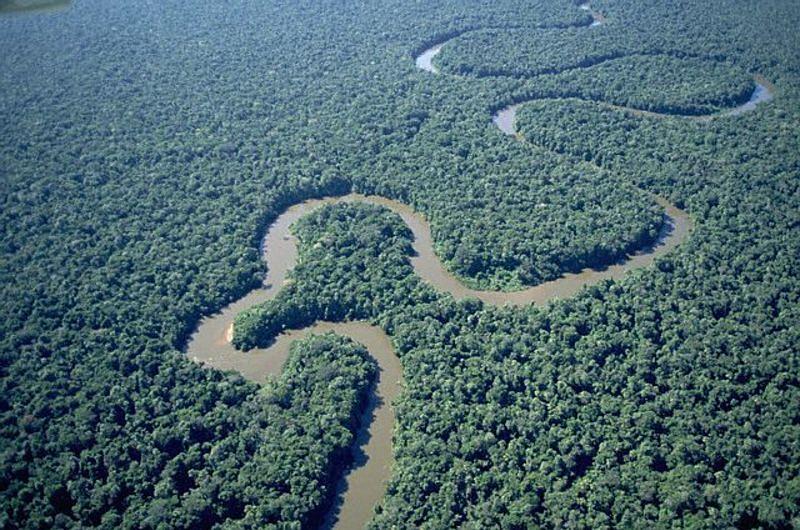 Naufragio en el río Orinoco