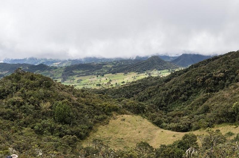 Se acuerdan acciones para la protección de páramos y bosques andinos