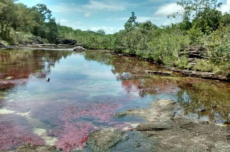 Se levantó restricción a Caño Cristales 