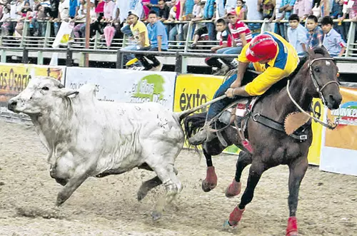 Proponen proyecto de ley para reglamentar el coleo