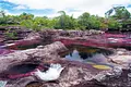 En Caño Cristales no hay cupo para tanta gente