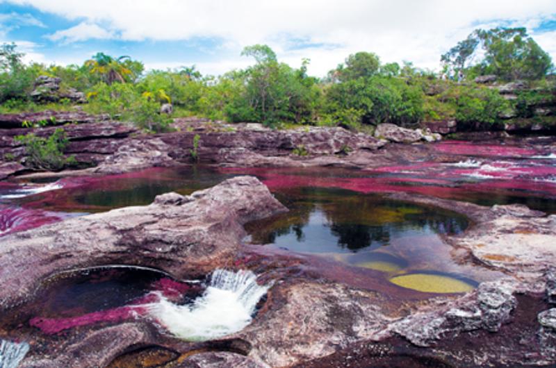 En Caño Cristales no hay cupo para tanta gente