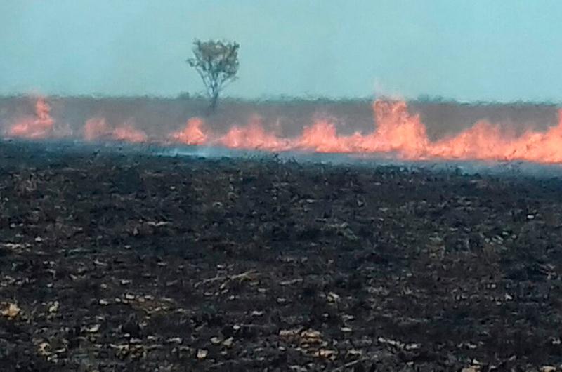 Incontrolable incendio en parque nacional El Tuparro en el Vichada