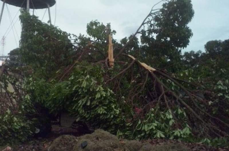 Vendaval desentecha casas en Puerto Carreño