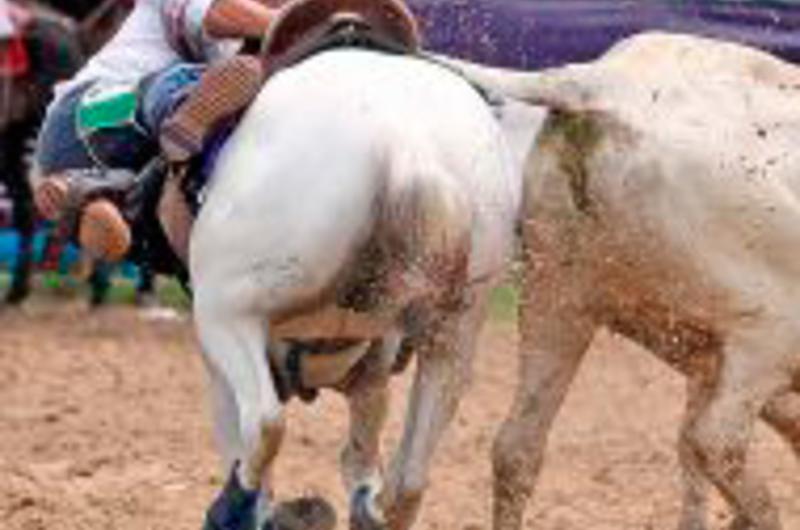 Cabalgata del Encuentro Mundial de Coleo será el jueves 13 de octubre