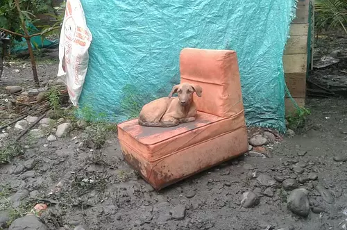Por lo menos 100 familias afectadas por desbordamientos del río Guatiquía