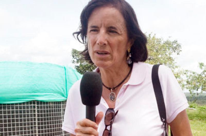 Reportan desaparición de la columnista Salud Hernández