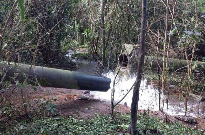 Investigan funcionarios de Cormacarena por posible daño ambiental