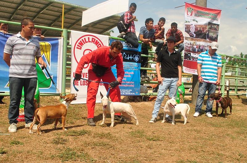 Festival canino este fin de semana en Expo Malocas