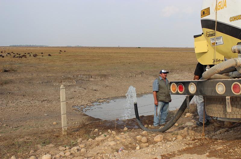 Llegan ayudas de Pacific Rubiales para mitigar impacto ambiental en Casanare