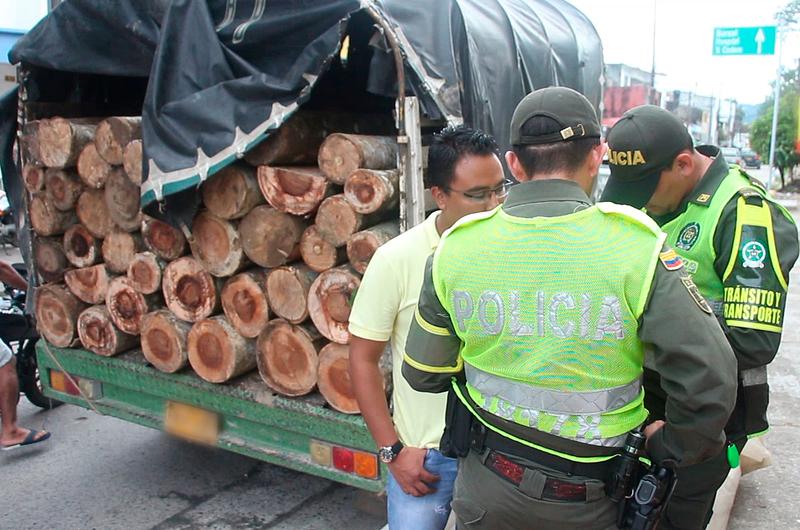 Lea las restricciones para aprovechamientos forestales en el Meta