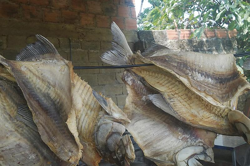 Hay suficiente abastecimiento de pescado para Semana Santa 