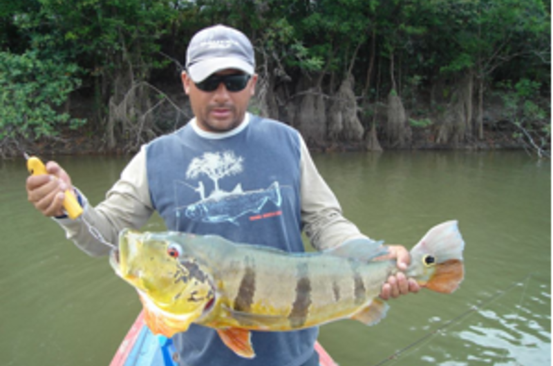 En el Vichada reglamentan pesca de Pavón