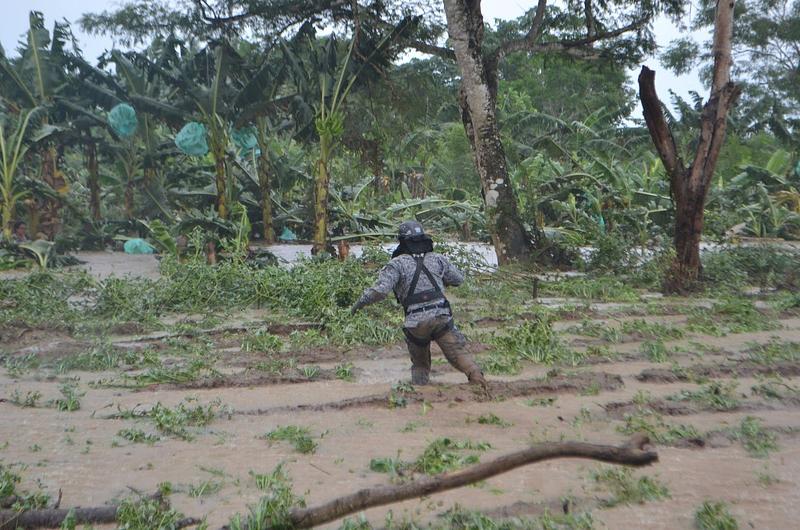 Inundaciones arrasan cultivos en el municipio de Fuentedeoro