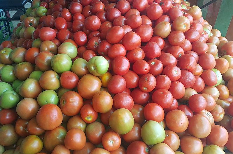 En agosto de 2015 disminuyó la oferta de verduras y hortalizas 