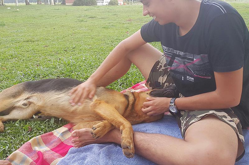 Marcha contra maltrato animal este domingo 18 de octubre en Villavicencio