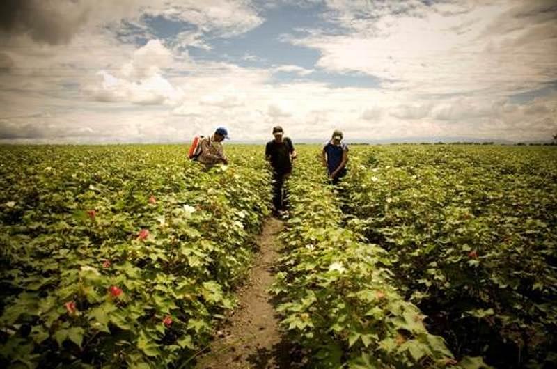 Adecuarán 120 mil hectáreas para fines agropecuarios, con visión de manejo eficiente del agua