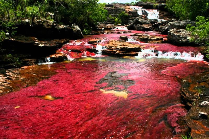  Caño Cristales y Mompox afectados por la falta de infraestructura 