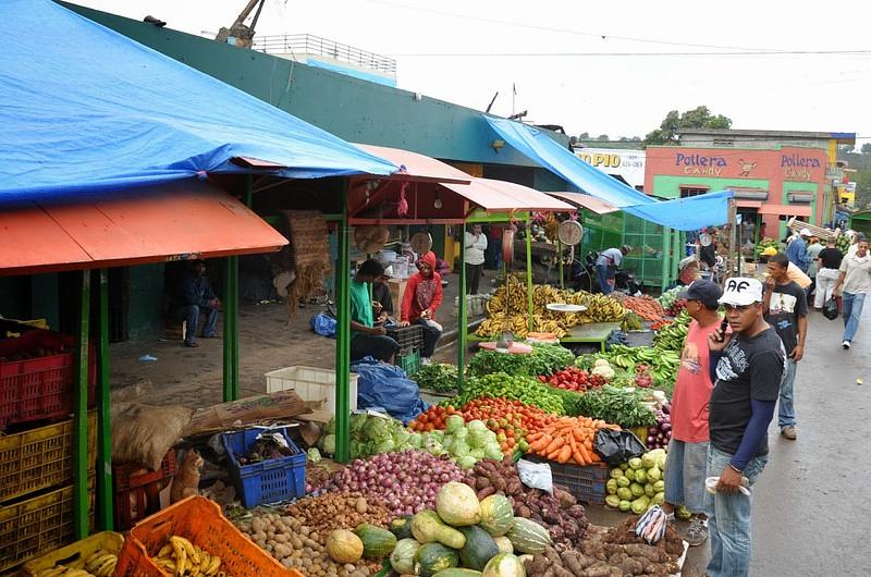 Suben los precios de verduras y hortalizas por heladas 