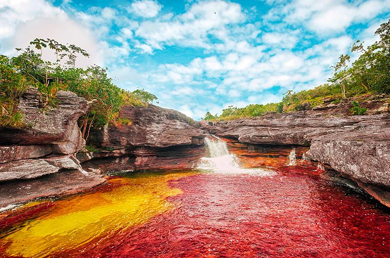 Desde este 15 de diciembre se restringe ingreso de turistas a Caño Cristales en La Macarena