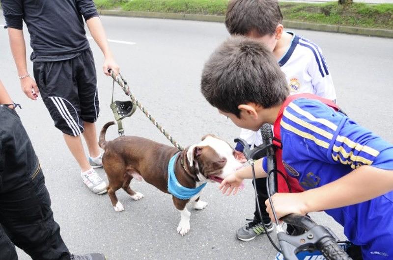 Los perros deberán usar bozal en la recreovía 