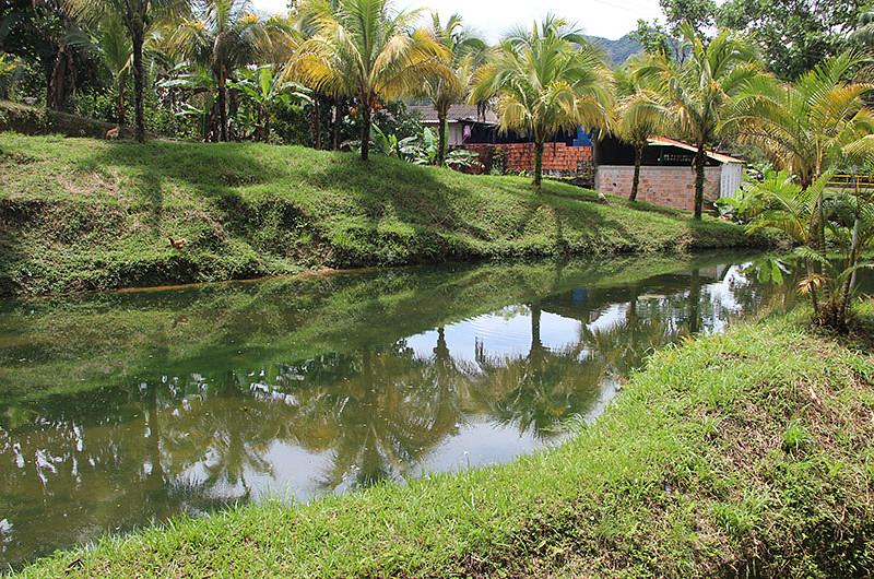 Lanzan concurso de dibujo ambiental en el Meta