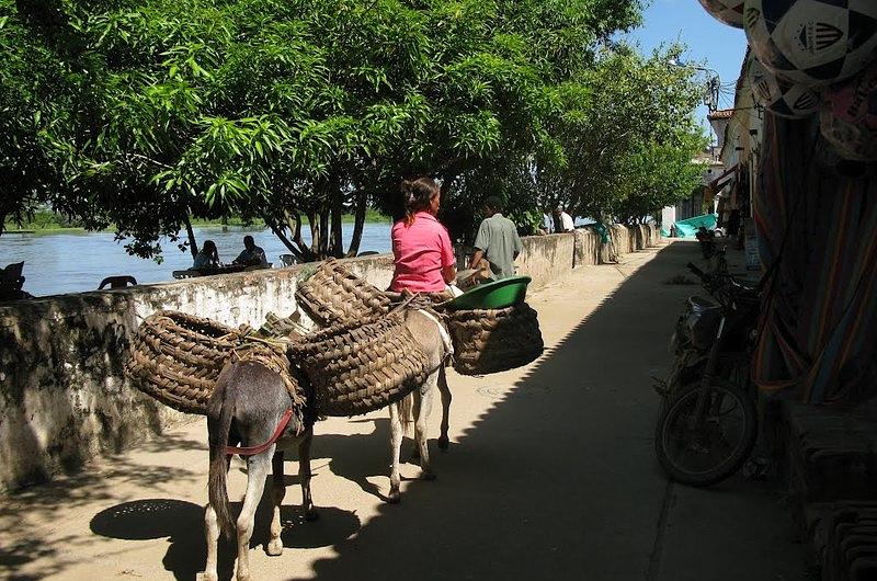 Responsabilidad Social a riberas del río magdalena