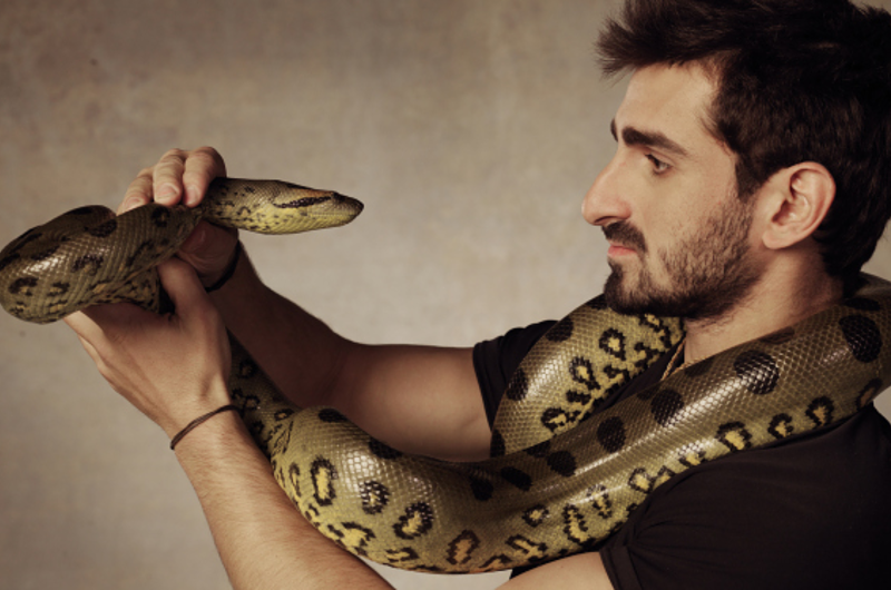Cineasta se dejará comer de una anaconda en directo por TV