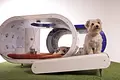 La casa perfecta para perros diseñada por Samsung