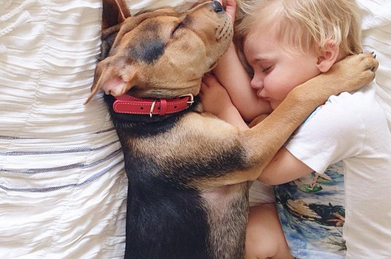 Estos dos amigos no pueden dormir por separado