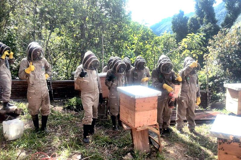 2 Apiarios fueron instalados en municipio de El Dorado