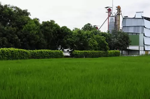 Dramática situación de arroceros, expuesta al presidente Santos