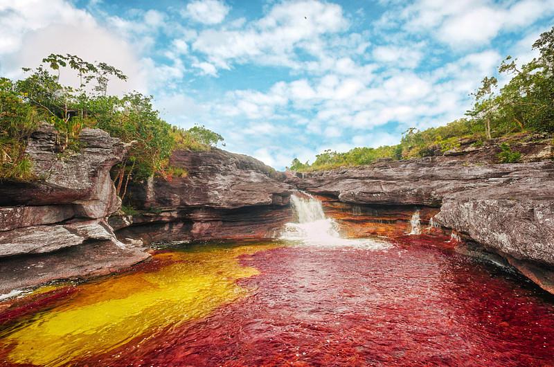 Restablecen ingreso de turistas a Caño Cristales en la Sierra de La Macarena