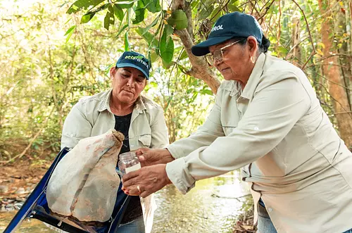 Guarupaya: una reserva con miles de especies