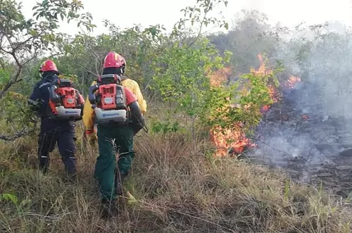 Alerta nacional por amenaza de incendios forestales