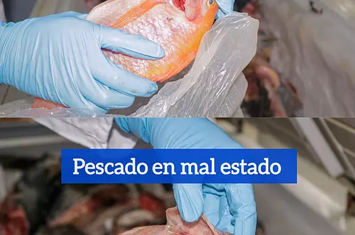Recomendaciones para comprar pescado fresco
