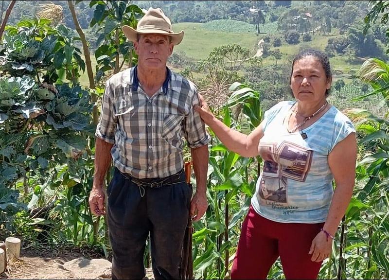 Familia metense cultiva frijol en tierras restituidas