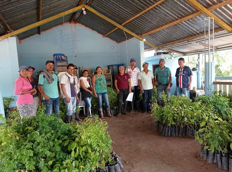 Familias rurales del Guaviare siembran más de 84.900 árboles