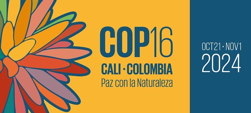 Colombia lanza el programa más grande de la COP16