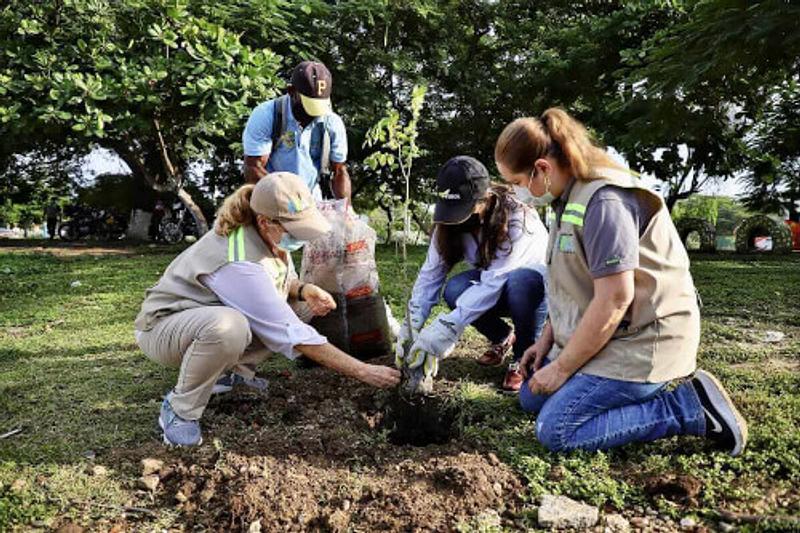 Ecopetrol y campesinos plantan 62,398 árboles en Meta