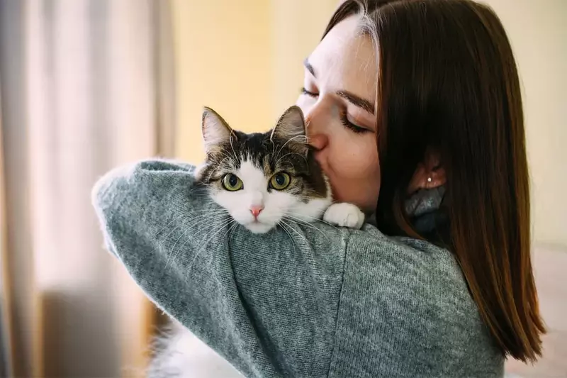 Día del Gato: Beneficios de tener un compañero felino