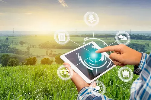 La IA revoluciona el cultivo de arroz en Colombia