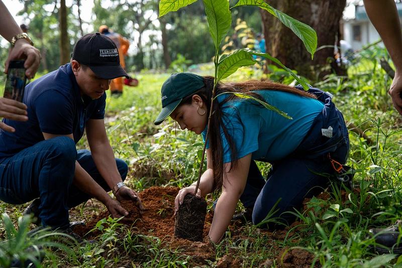 Ecopetrol lidera reforestación en Acacías, Meta