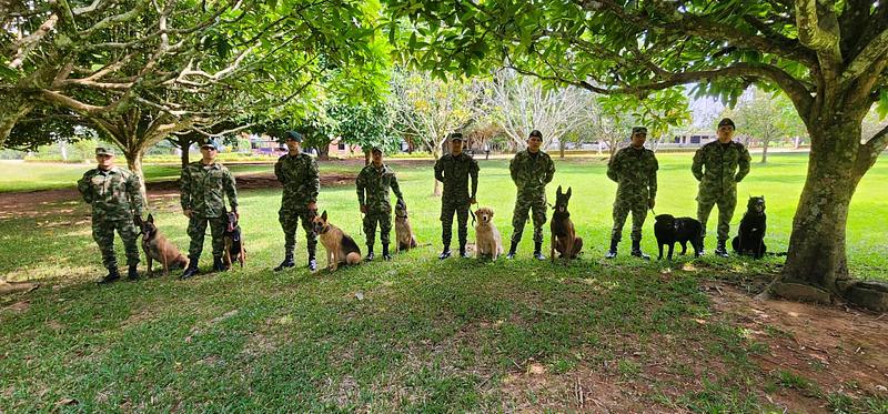 Caninos élite se preparan para nuevos desafíos en Guaviare