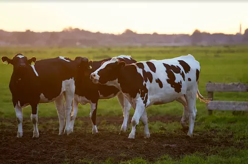 Colombia: ¿El próximo gigante agrícola global?