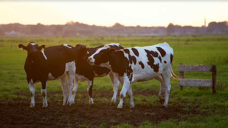 Colombia: ¿El próximo gigante agrícola global?